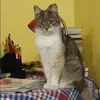 Отзыв от Екатерина Николаева
